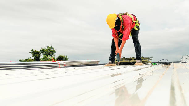 Best Roof Leak Repair  in Morehead, KY